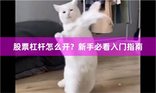 股票杠杆怎么开?新手必看入门指南