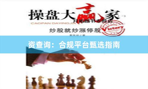资查询：合规平台甄选指南